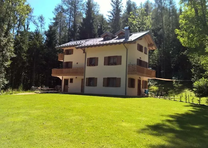 Al Ranch Wellness Cadore Dolomiti Vicino Cortina Olimpiadi 2026 E Misurina Tre Cime Lavaredo 公寓 皮耶韦迪卡多雷